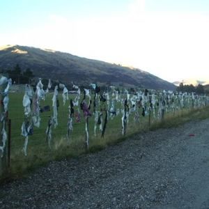 Meet your Posher, Pat